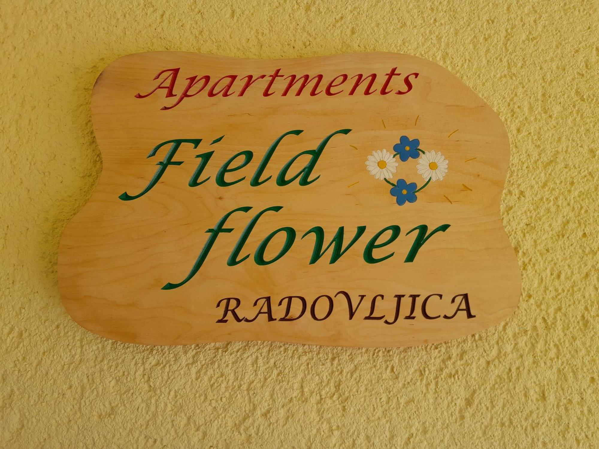 Field Flower * Radovljica